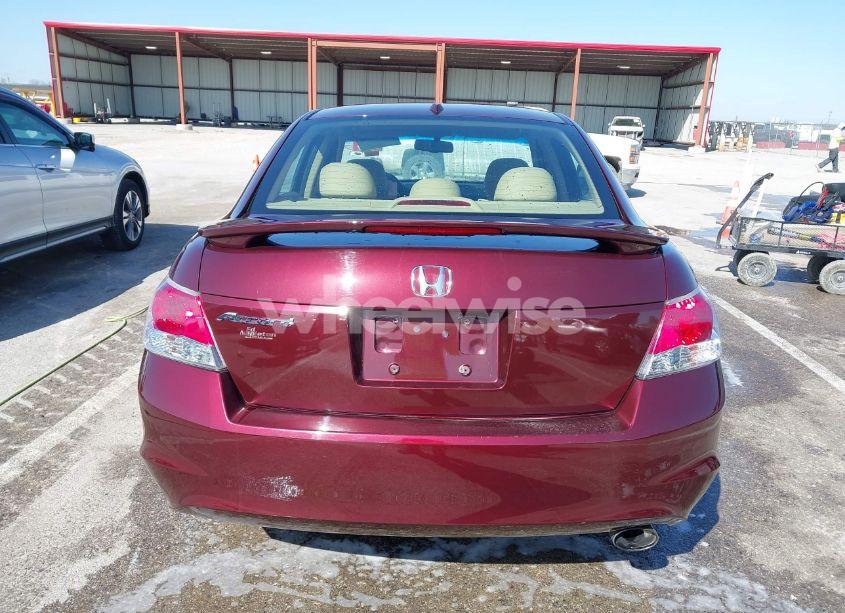 Photo 17 of 2010 Honda Accord 2.4 EX-L (VIN 1HGCP2F80AA074209)