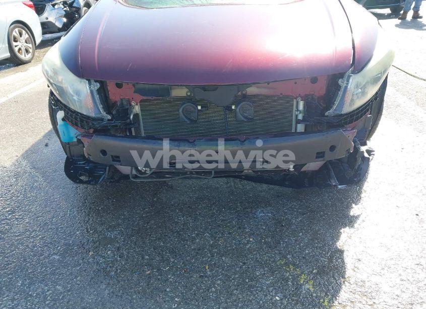 Photo 6 of 2010 Honda Accord 2.4 EX-L (VIN 1HGCP2F80AA074209)