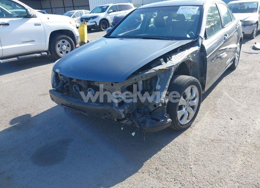 Photo 6 of 2010 Honda Accord 2.4 EX-L (VIN 1HGCP2F80AA151161)