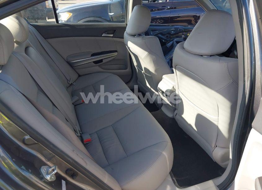 Photo 8 of 2010 Honda Accord 2.4 EX-L (VIN 1HGCP2F80AA151161)