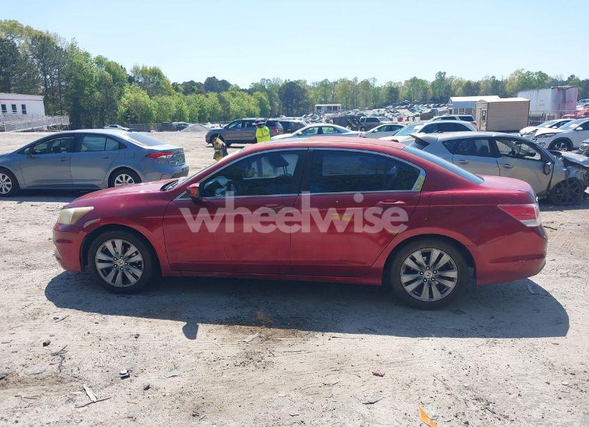 Photo 14 of 2011 Honda Accord 2.4 EX-L (VIN 1HGCP2F80BA021494)
