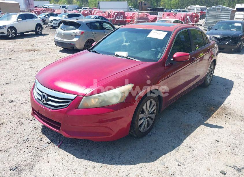 Photo 2 of 2011 Honda Accord 2.4 EX-L (VIN 1HGCP2F80BA021494)