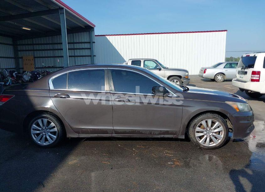 Photo 13 of 2011 Honda Accord 2.4 EX-L (VIN 1HGCP2F80BA056133)