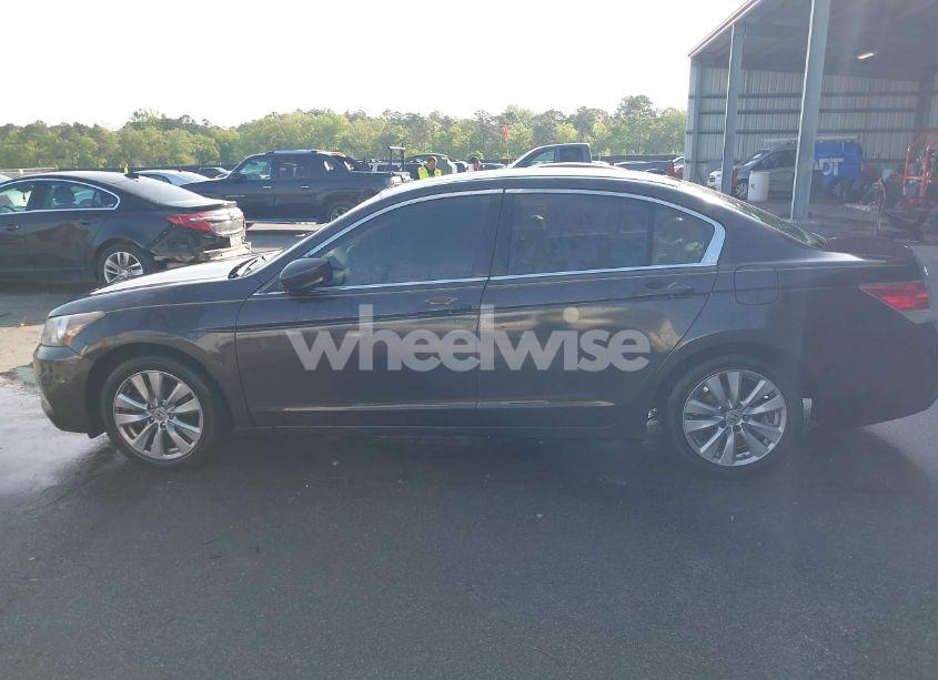 Photo 14 of 2011 Honda Accord 2.4 EX-L (VIN 1HGCP2F80BA056133)