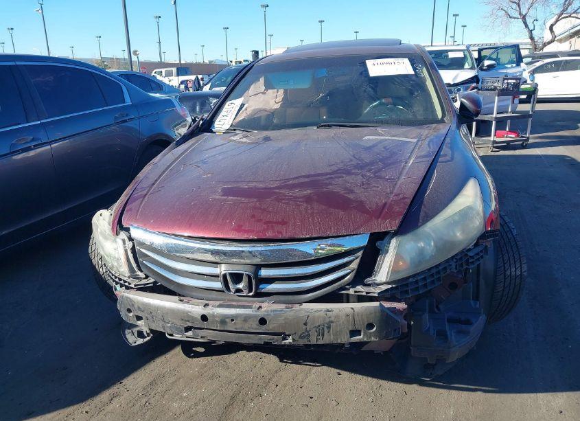 Photo 13 of 2011 Honda Accord 2.4 EX-L (VIN 1HGCP2F80BA095112)