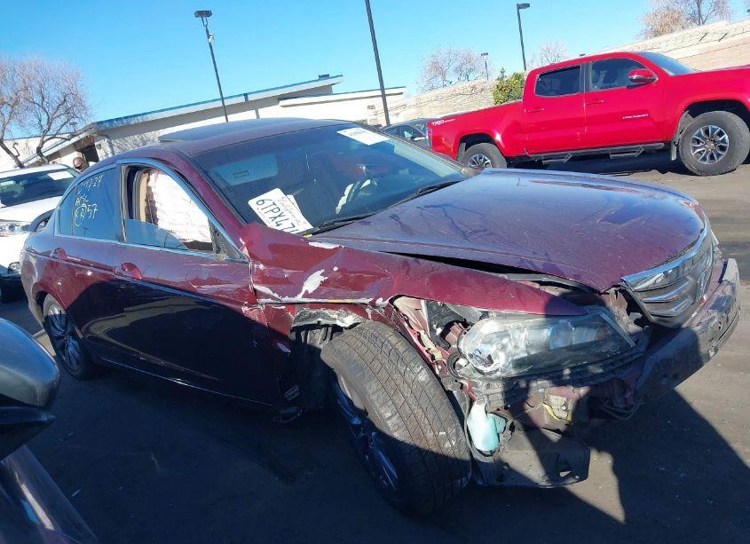 Photo 14 of 2011 Honda Accord 2.4 EX-L (VIN 1HGCP2F80BA095112)