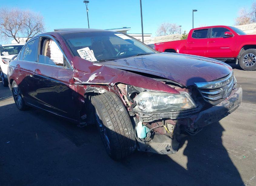 Photo 6 of 2011 Honda Accord 2.4 EX-L (VIN 1HGCP2F80BA095112)