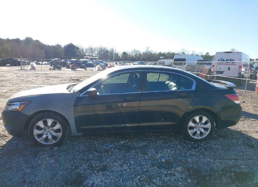 Photo 14 of 2010 Honda Accord 2.4 EX-L (VIN 1HGCP2F81AA024354)