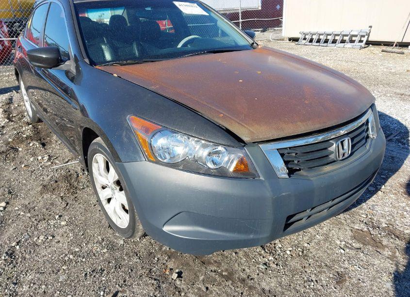Photo 6 of 2010 Honda Accord 2.4 EX-L (VIN 1HGCP2F81AA024354)