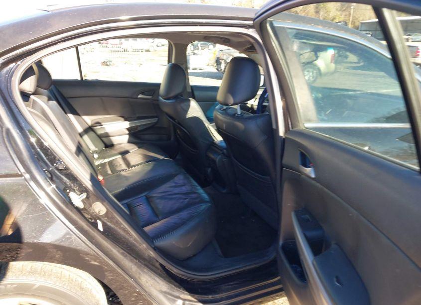 Photo 8 of 2010 Honda Accord 2.4 EX-L (VIN 1HGCP2F81AA024354)