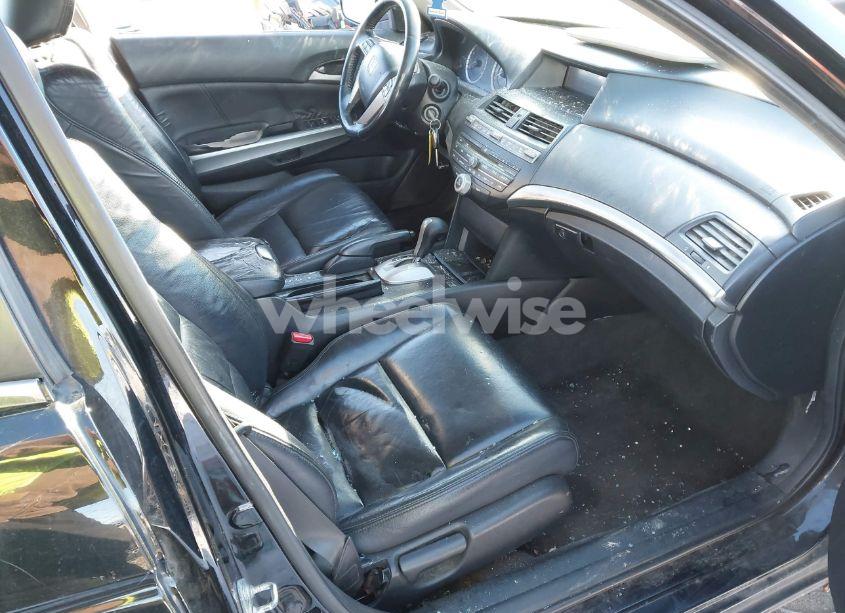 Photo 5 of 2010 Honda Accord 2.4 EX-L (VIN 1HGCP2F81AA051568)