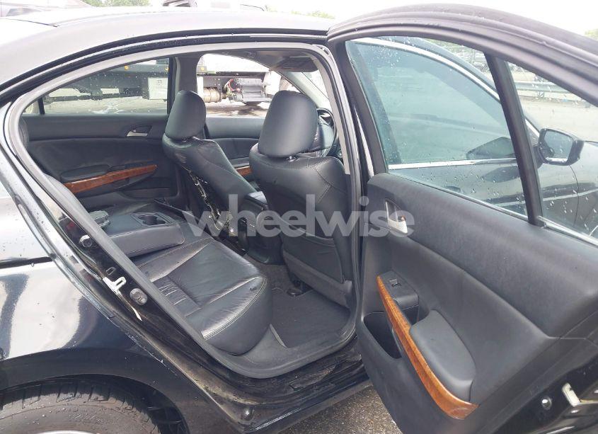 Photo 8 of 2011 Honda Accord 2.4 EX-L (VIN 1HGCP2F81BA008995)