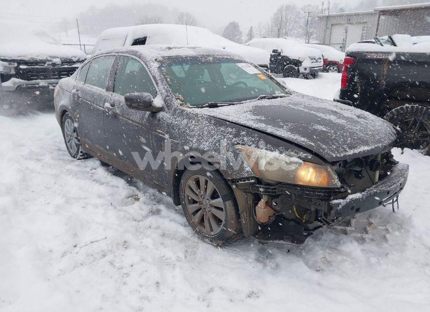 2011 Honda Accord 2.4 EX-L (VIN 1HGCP2F81BA055248) main photo