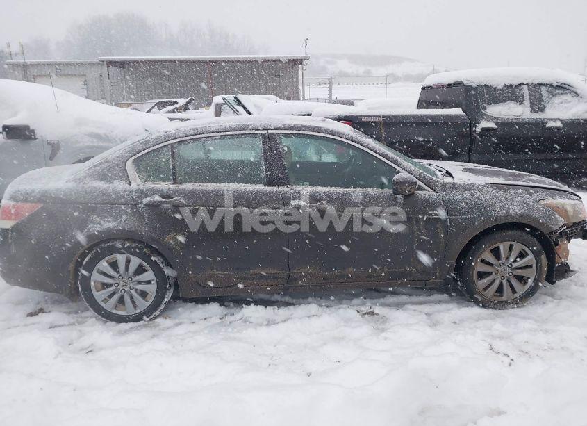 Photo 14 of 2011 Honda Accord 2.4 EX-L (VIN 1HGCP2F81BA055248)