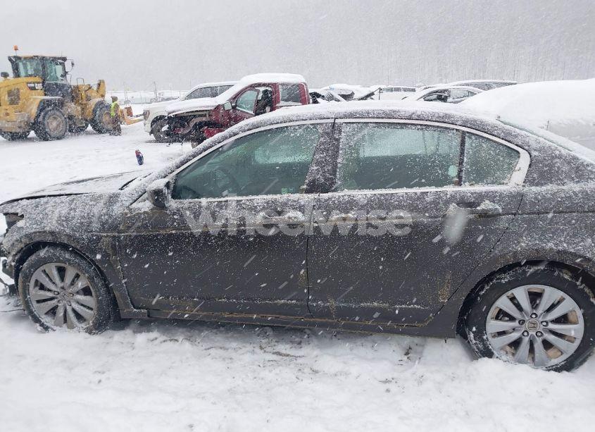 Photo 15 of 2011 Honda Accord 2.4 EX-L (VIN 1HGCP2F81BA055248)