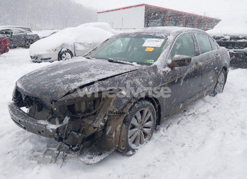 Photo 2 of 2011 Honda Accord 2.4 EX-L (VIN 1HGCP2F81BA055248)