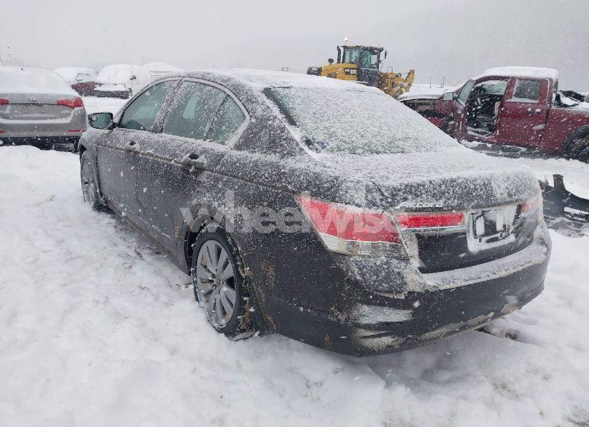 Photo 3 of 2011 Honda Accord 2.4 EX-L (VIN 1HGCP2F81BA055248)