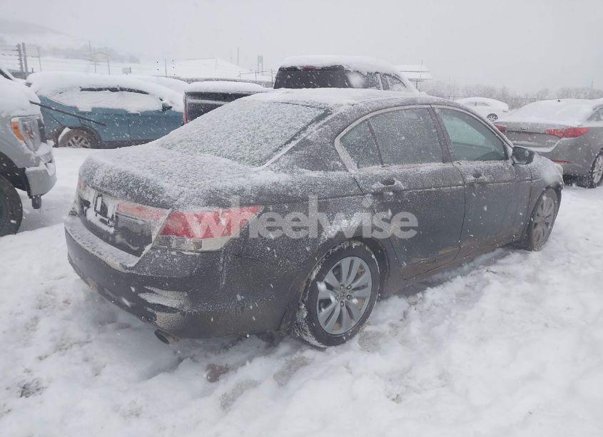 Photo 4 of 2011 Honda Accord 2.4 EX-L (VIN 1HGCP2F81BA055248)