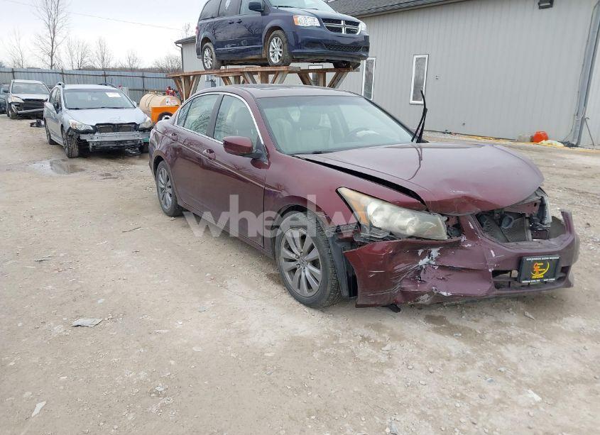 2011 Honda Accord 2.4 EX-L (VIN 1HGCP2F81BA068761) main photo