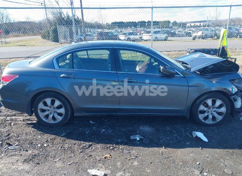 Photo 14 of 2010 Honda Accord EXL (VIN 1HGCP2F82AA032589)