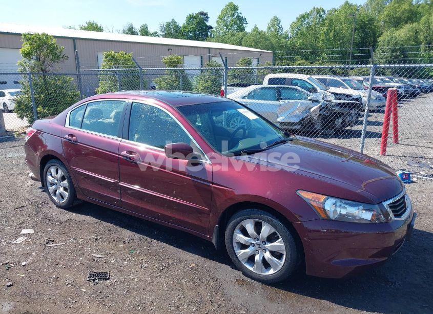 2010 Honda Accord 2.4 EX-L (VIN 1HGCP2F82AA033869) main photo