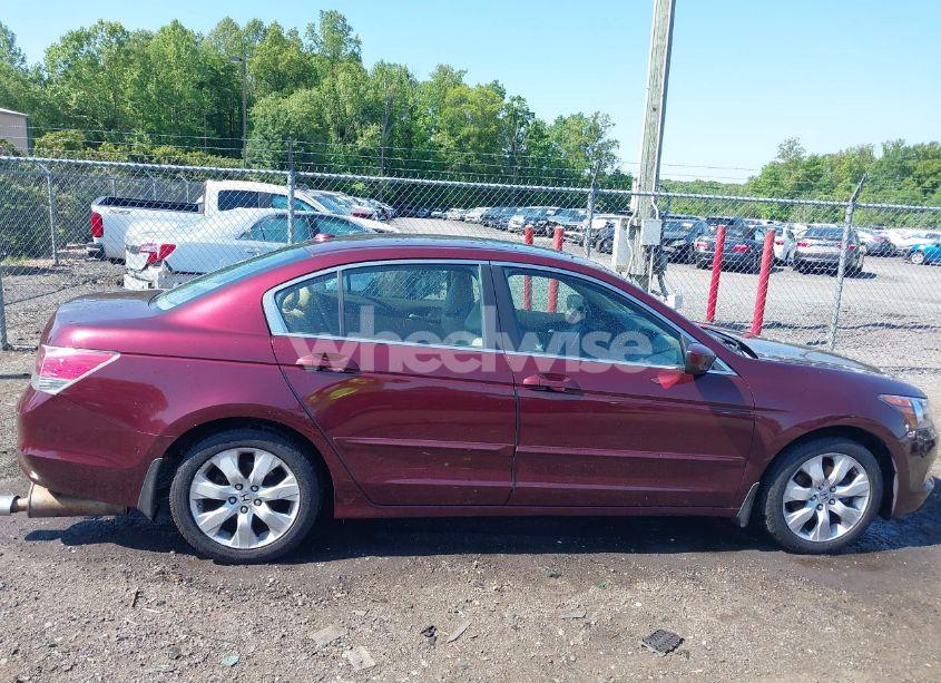 Photo 13 of 2010 Honda Accord 2.4 EX-L (VIN 1HGCP2F82AA033869)