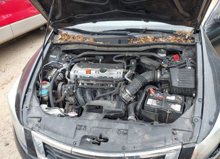 Photo 10 of 2010 Honda Accord 2.4 EX-L (VIN 1HGCP2F82AA094882)