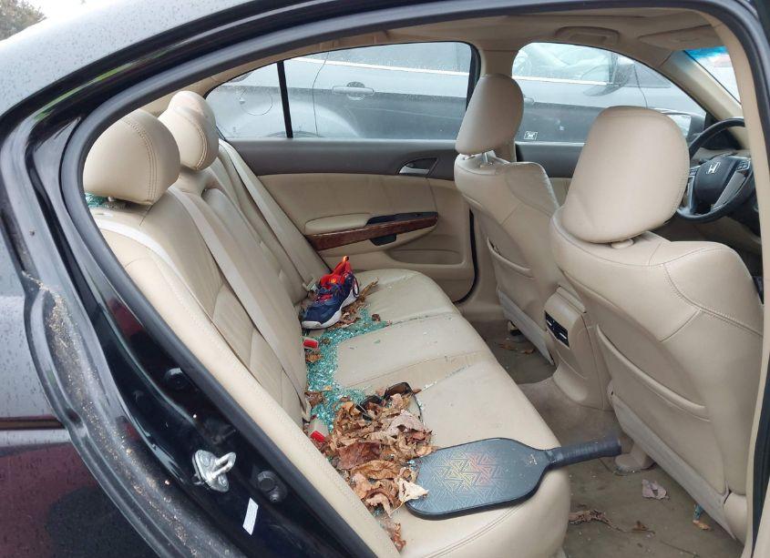 Photo 8 of 2010 Honda Accord 2.4 EX-L (VIN 1HGCP2F82AA094882)