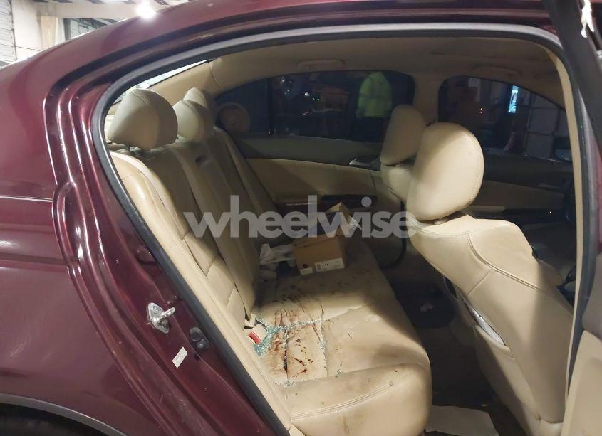 Photo 8 of 2010 Honda Accord 2.4 EX-L (VIN 1HGCP2F82AA116685)