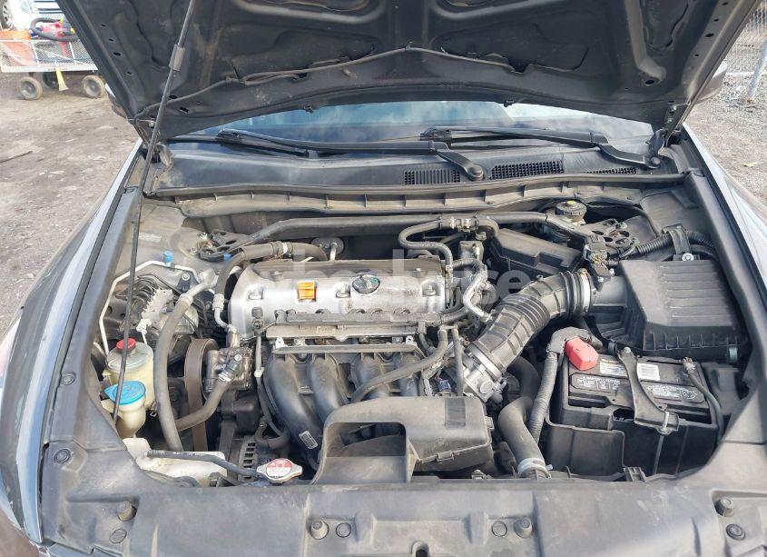 Photo 10 of 2010 Honda Accord 2.4 EX-L (VIN 1HGCP2F82AA149086)