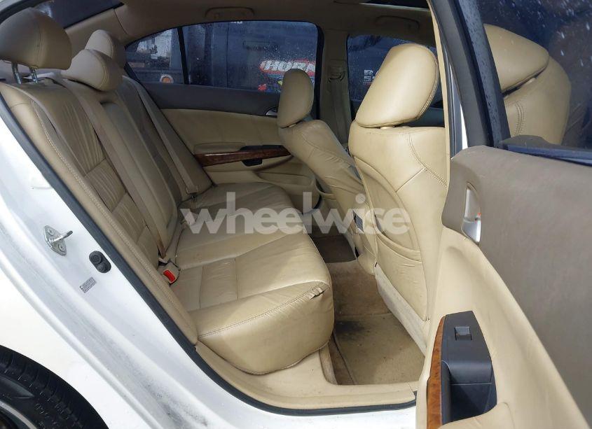 Photo 8 of 2010 Honda Accord 2.4 EX-L (VIN 1HGCP2F82AA154594)