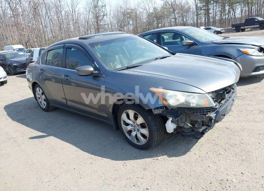 2010 Honda Accord 2.4 EX-L (VIN 1HGCP2F82AA167202) main photo