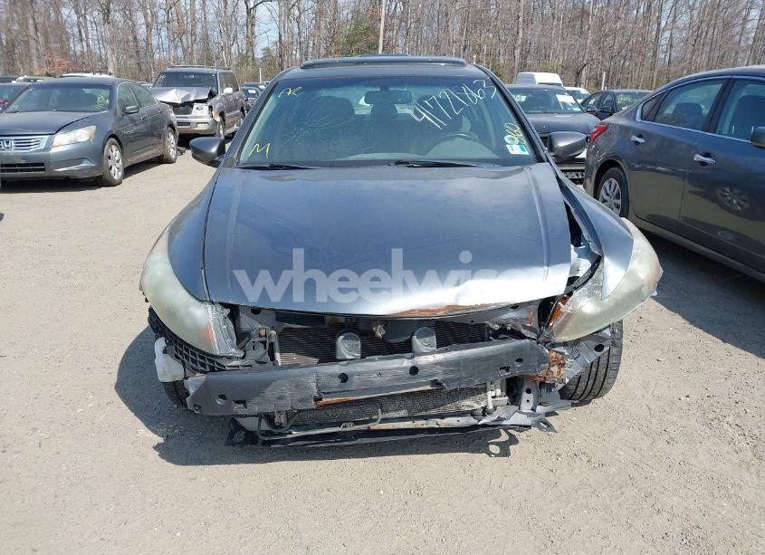 Photo 12 of 2010 Honda Accord 2.4 EX-L (VIN 1HGCP2F82AA167202)