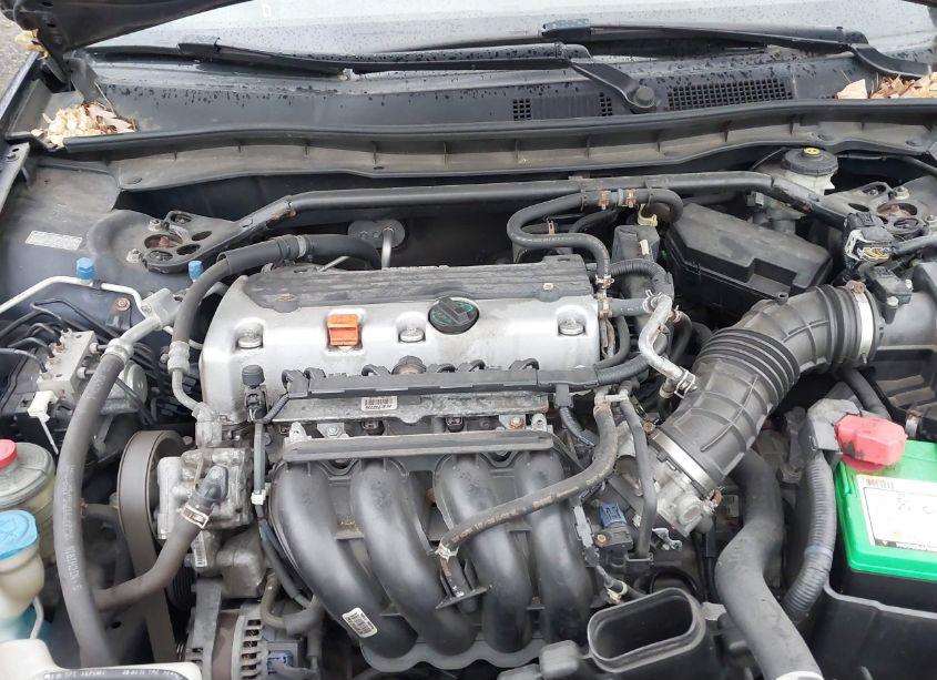 Photo 10 of 2010 Honda Accord 2.4 EX-L (VIN 1HGCP2F82AA172819)