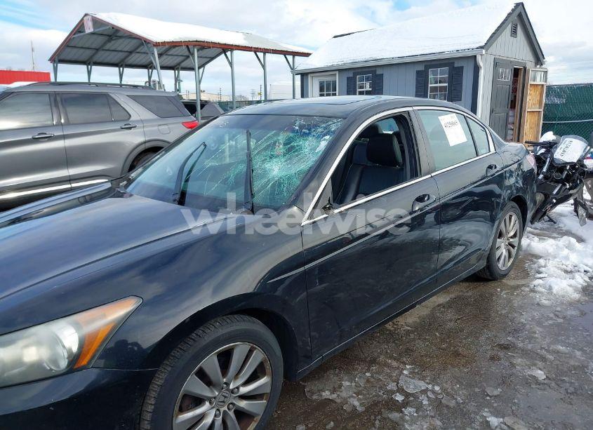 Photo 6 of 2011 Honda Accord 2.4 EX-L (VIN 1HGCP2F82BA126361)