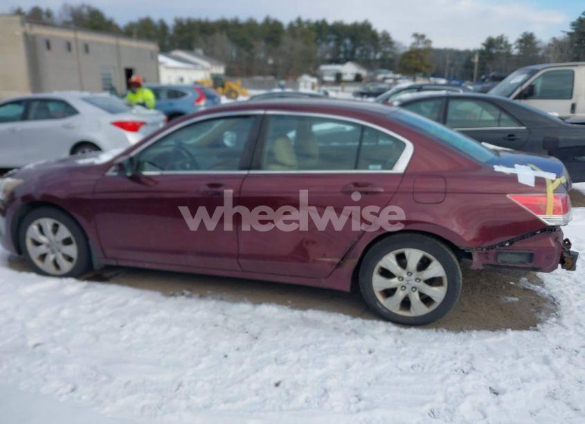 Photo 14 of 2010 Honda Accord 2.4 EX-L (VIN 1HGCP2F83AA120051)