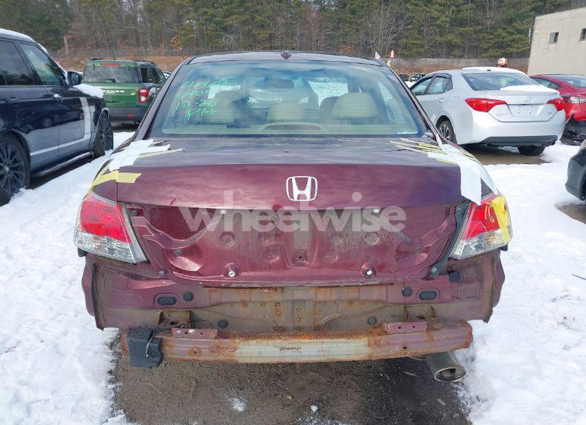 Photo 16 of 2010 Honda Accord 2.4 EX-L (VIN 1HGCP2F83AA120051)
