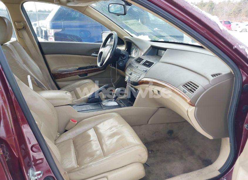 Photo 5 of 2010 Honda Accord 2.4 EX-L (VIN 1HGCP2F83AA120051)