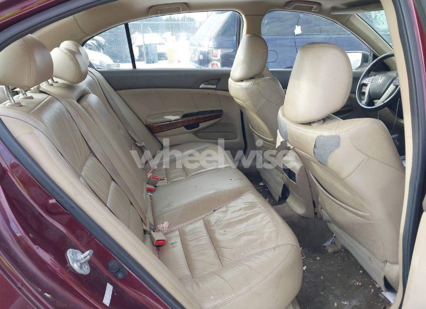 Photo 8 of 2010 Honda Accord 2.4 EX-L (VIN 1HGCP2F83AA120051)