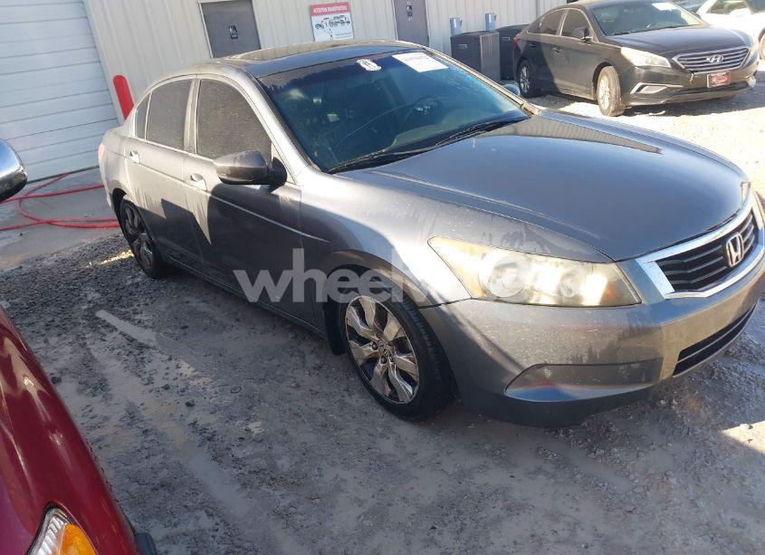 2010 Honda Accord 2.4 EX-L (VIN 1HGCP2F83AA128733) main photo