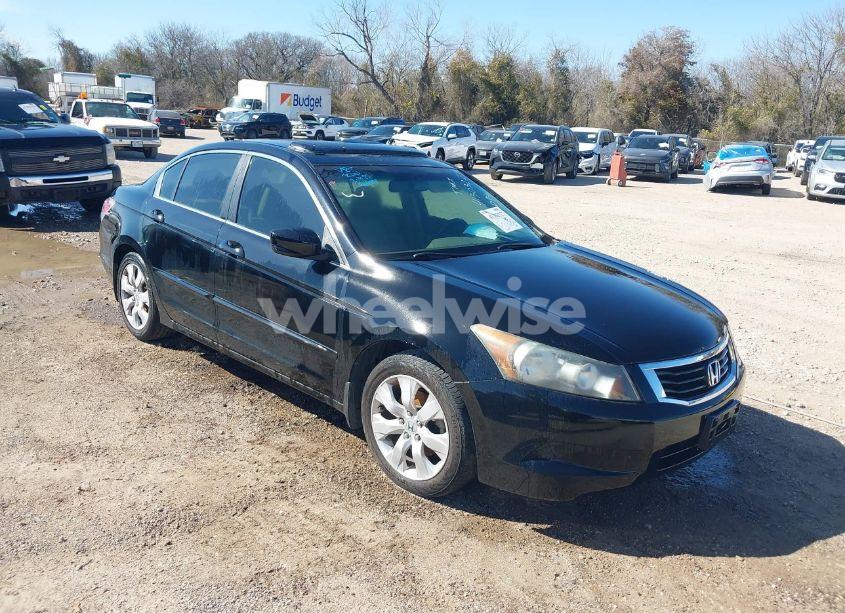 2010 Honda Accord 2.4 EX-L (VIN 1HGCP2F83AA146455) main photo