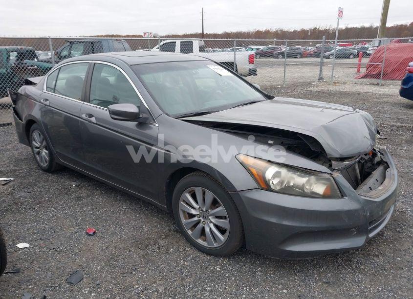 2011 Honda Accord 2.4 EX-L (VIN 1HGCP2F83BA013437) main photo