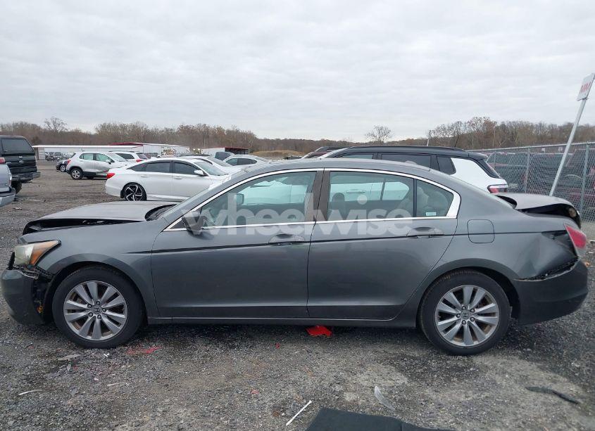 Photo 14 of 2011 Honda Accord 2.4 EX-L (VIN 1HGCP2F83BA013437)