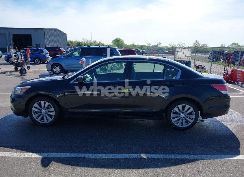 Photo 15 of 2011 Honda Accord 2.4 EX-L (VIN 1HGCP2F83BA014846)