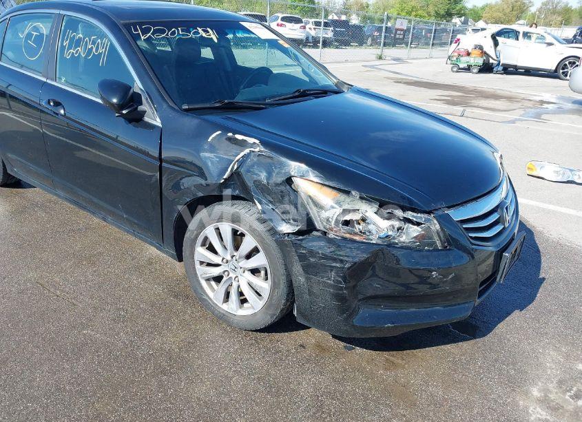 Photo 6 of 2011 Honda Accord 2.4 EX-L (VIN 1HGCP2F83BA014846)