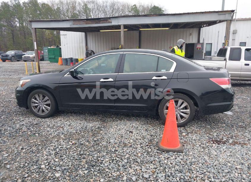 Photo 14 of 2011 Honda Accord 2.4 EX-L (VIN 1HGCP2F83BA017858)