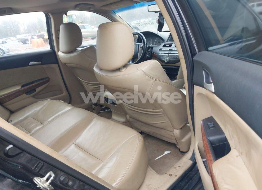 Photo 8 of 2011 Honda Accord 2.4 EX-L (VIN 1HGCP2F83BA017858)