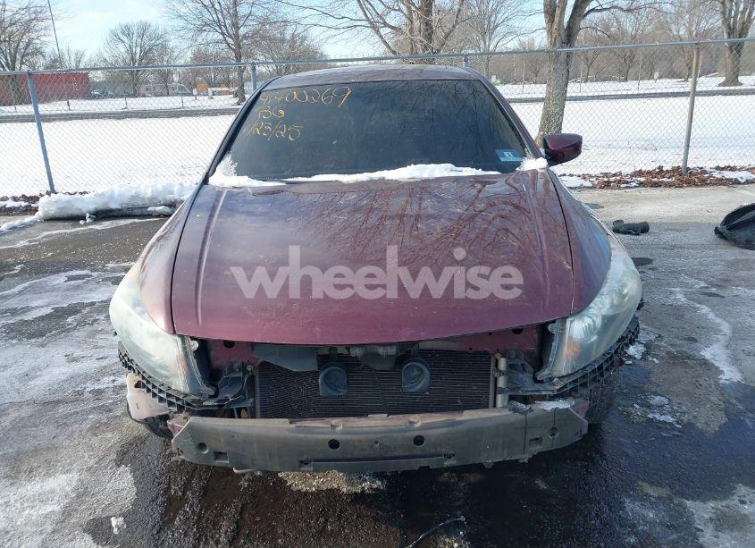 Photo 12 of 2011 Honda Accord 2.4 EX-L (VIN 1HGCP2F83BA025930)