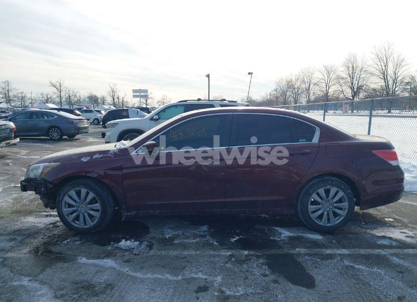 Photo 14 of 2011 Honda Accord 2.4 EX-L (VIN 1HGCP2F83BA025930)