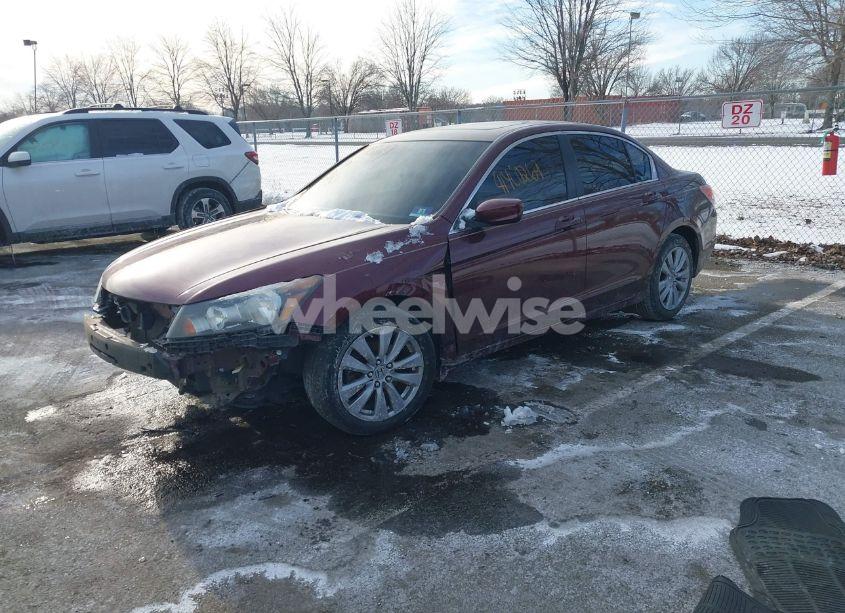 Photo 2 of 2011 Honda Accord 2.4 EX-L (VIN 1HGCP2F83BA025930)